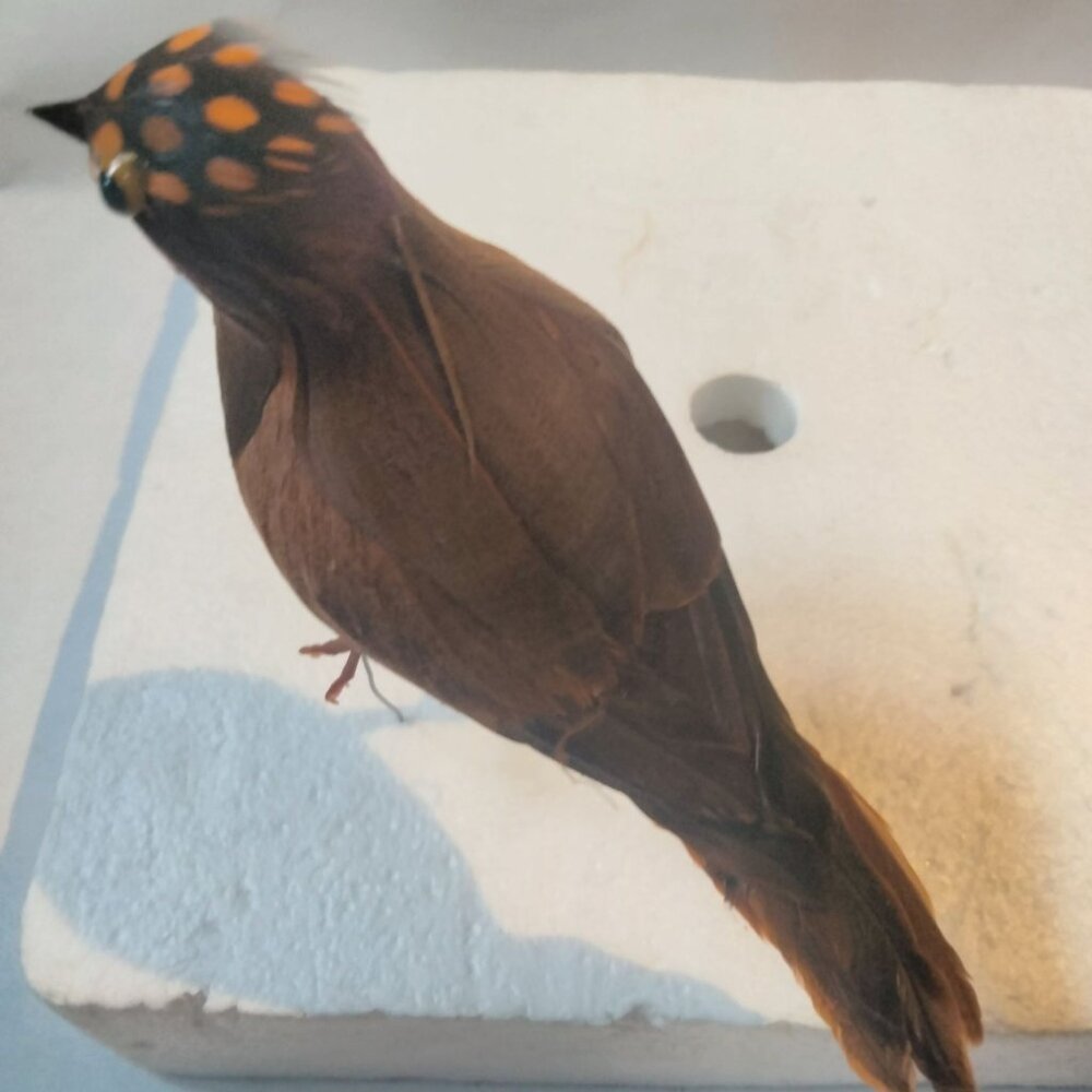 Decorative Tufted Birds Brown Orange Feathers Realistic Craft Display Lot 4 - Picture 14 of 14
